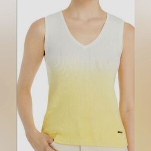 Tahari Ombre Sleeveless Sweater